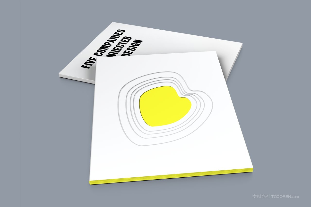 两本书籍画册封面封底贴图样机