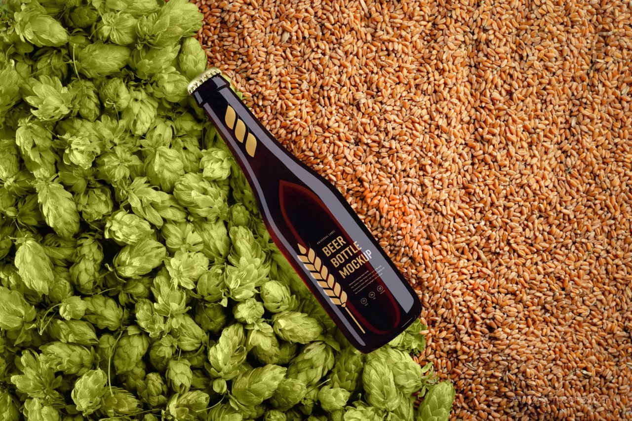 玻璃啤酒瓶样机