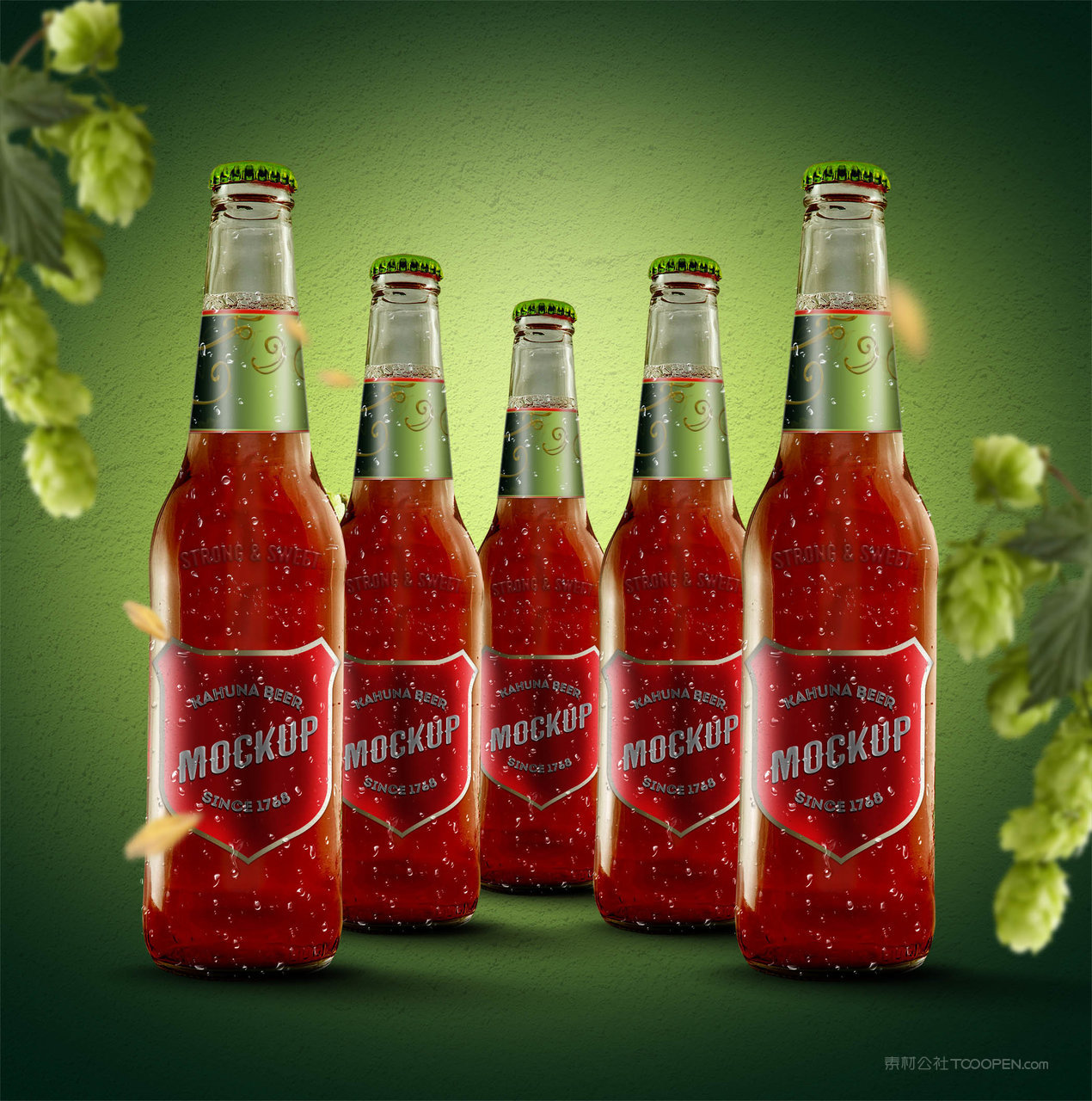 啤酒瓶包装样机