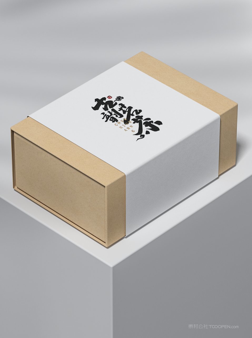 【2015期】包装盒腰封贴图样机 (1)