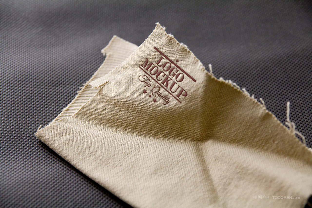 布料材质企业通用logo样机 (1)