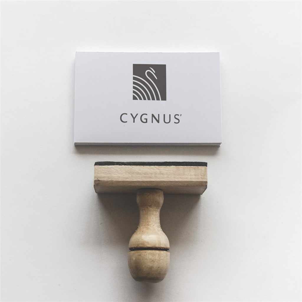 高档印章与名片样机