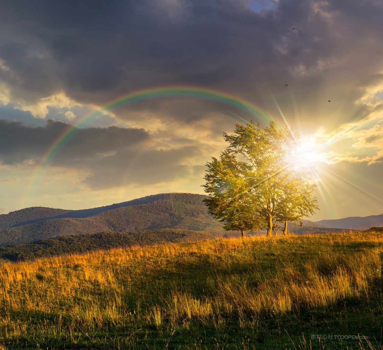 雨后彩虹风景画摄影图片 (73)