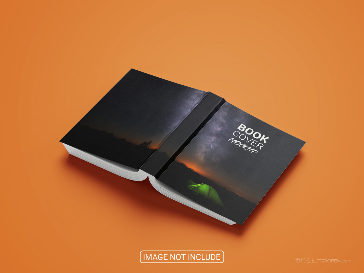 精装书画册样机
