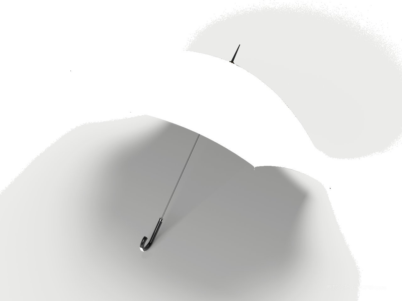 鲜花果蔬品牌连锁店vi样机 (23)