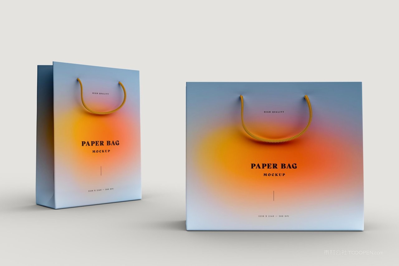礼品购物纸袋样机