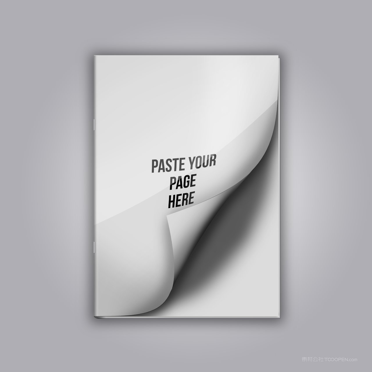 brochure杂志宣传册样机 (12)