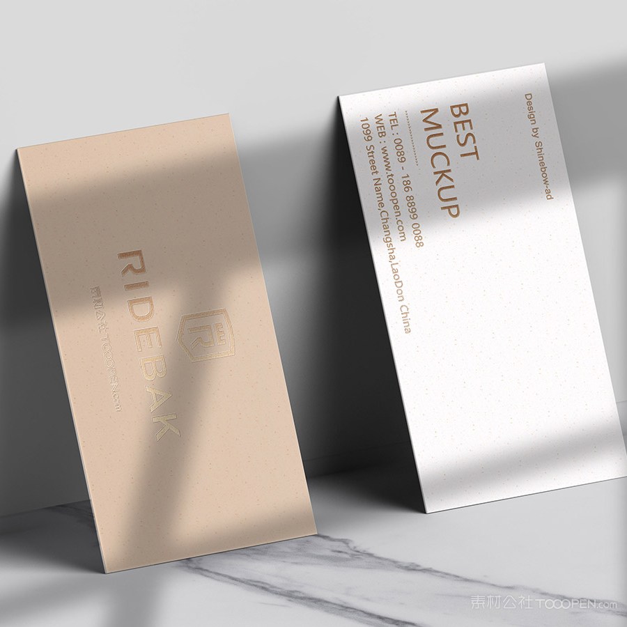 靠在墙上的名片贴图样机