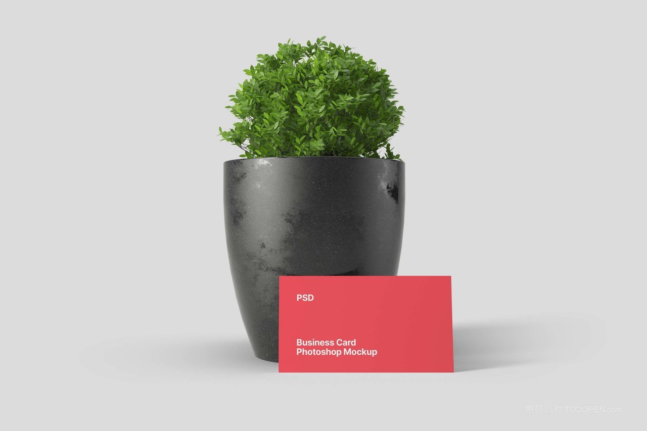 植物盆栽背景名片样机