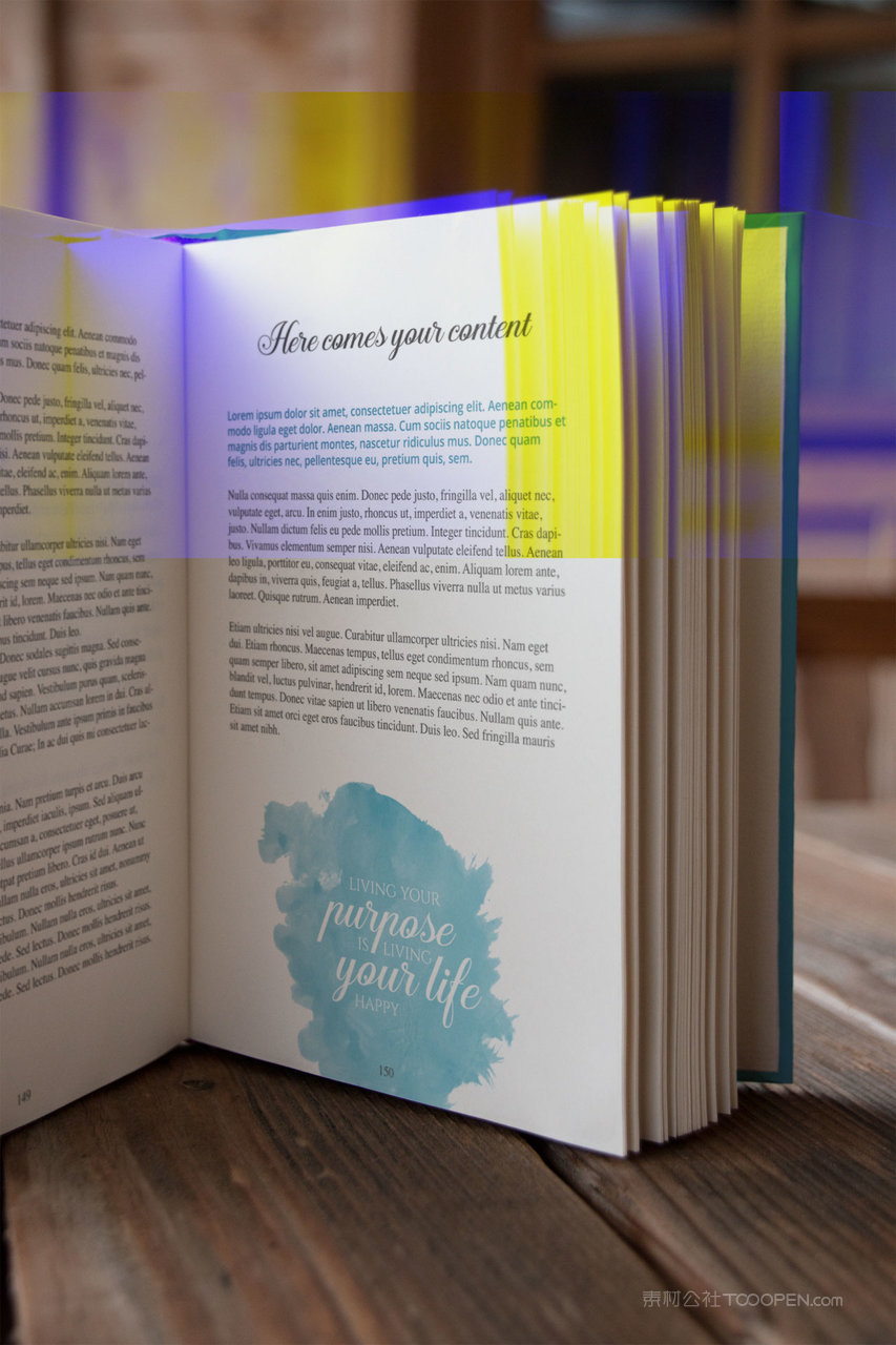 图收馆硬壳厚厚的书本书籍样机 (1)