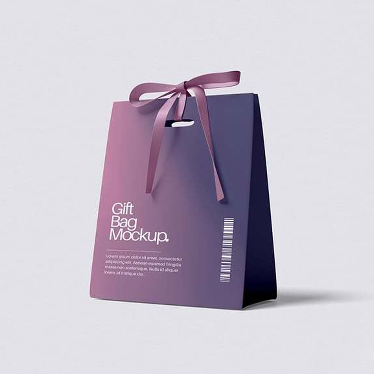 购物袋礼品袋样机