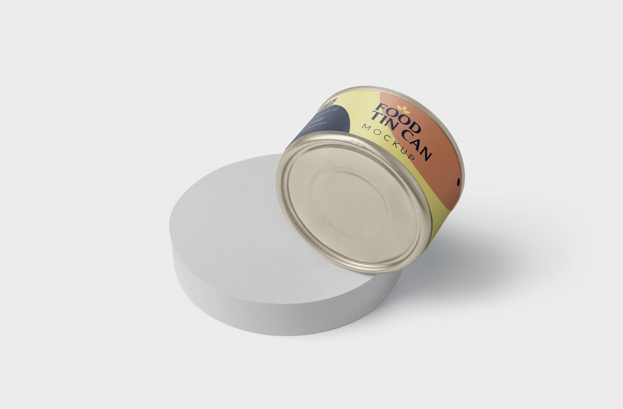 食品矮罐头包装罐形包装展示样机 (1)