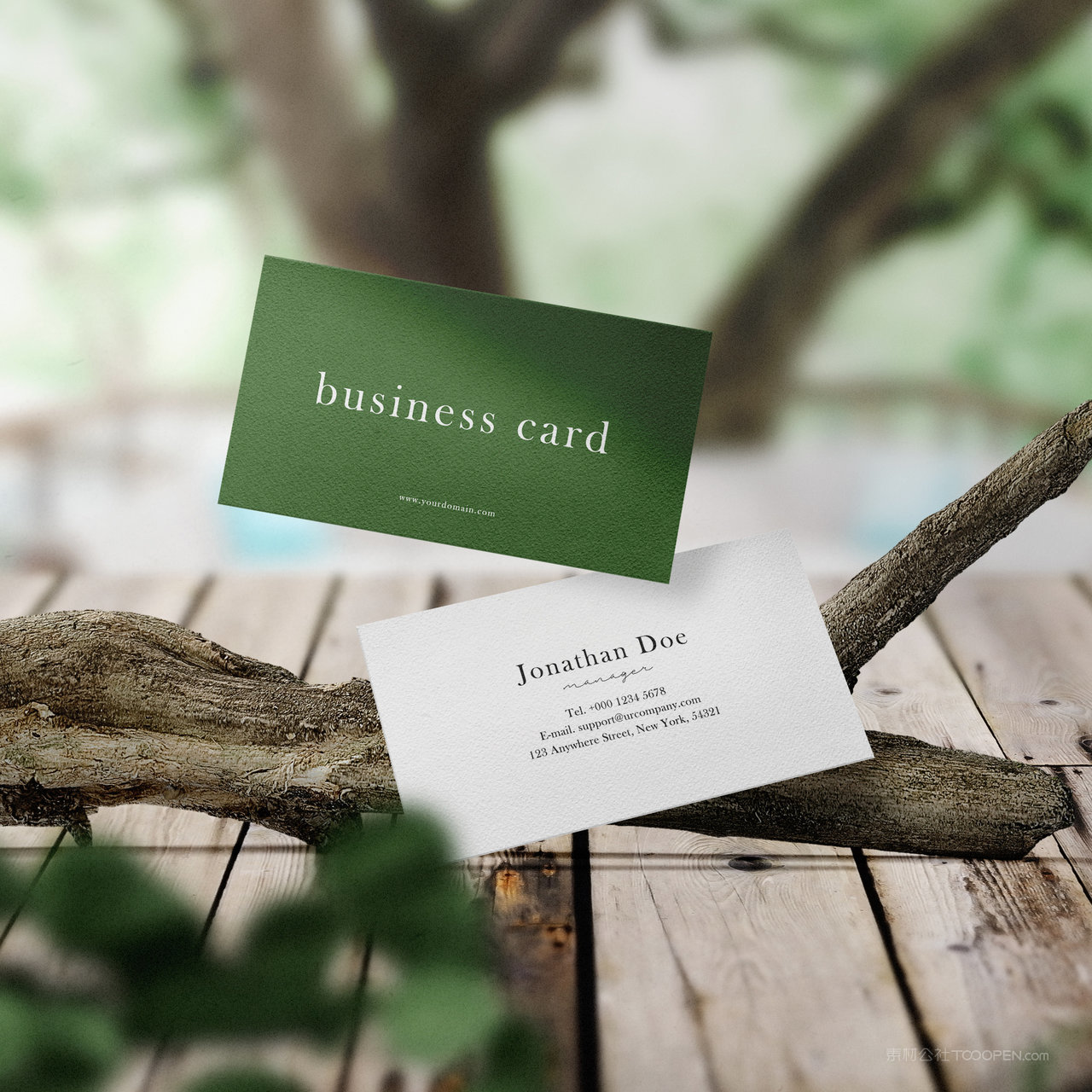 树枝悬浮的名片正反面贴图样机