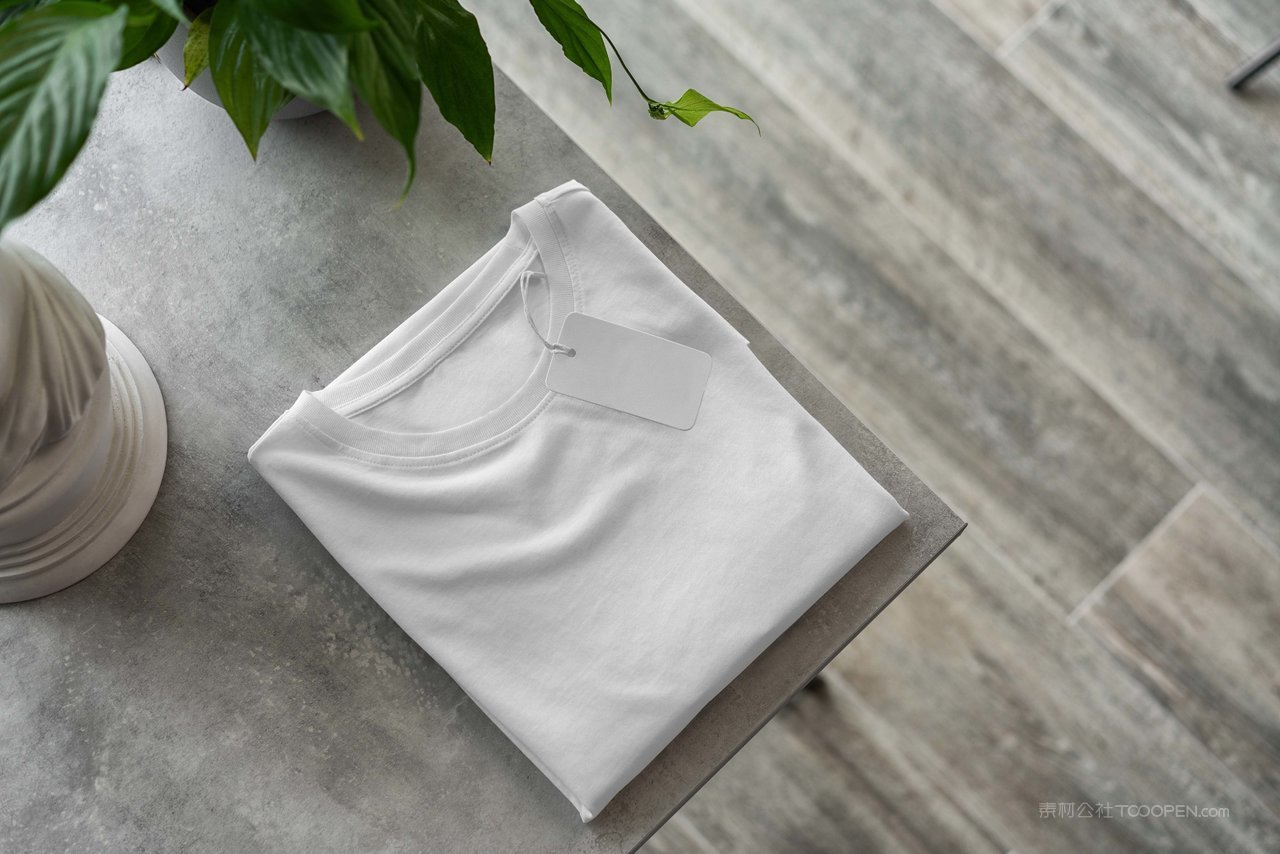 T恤衫样机