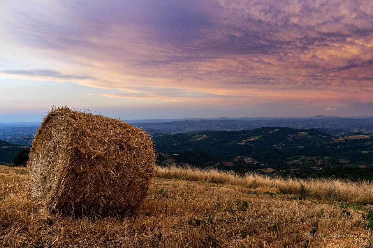 塞尔维亚风景画图片 (72)