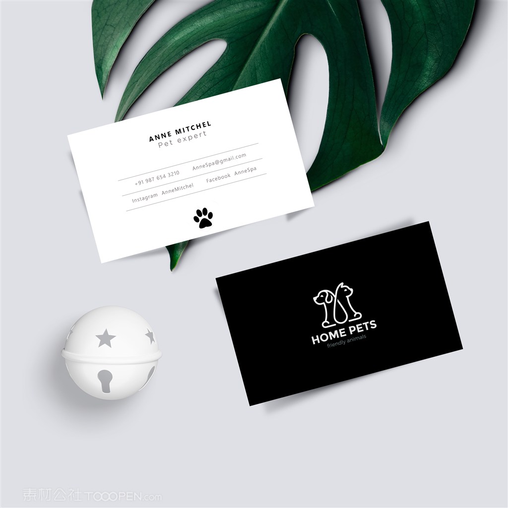 宠物店横板名片正反面贴图样机