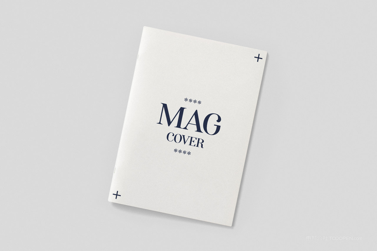 简约风格VI应用产品手册画册贴图样机