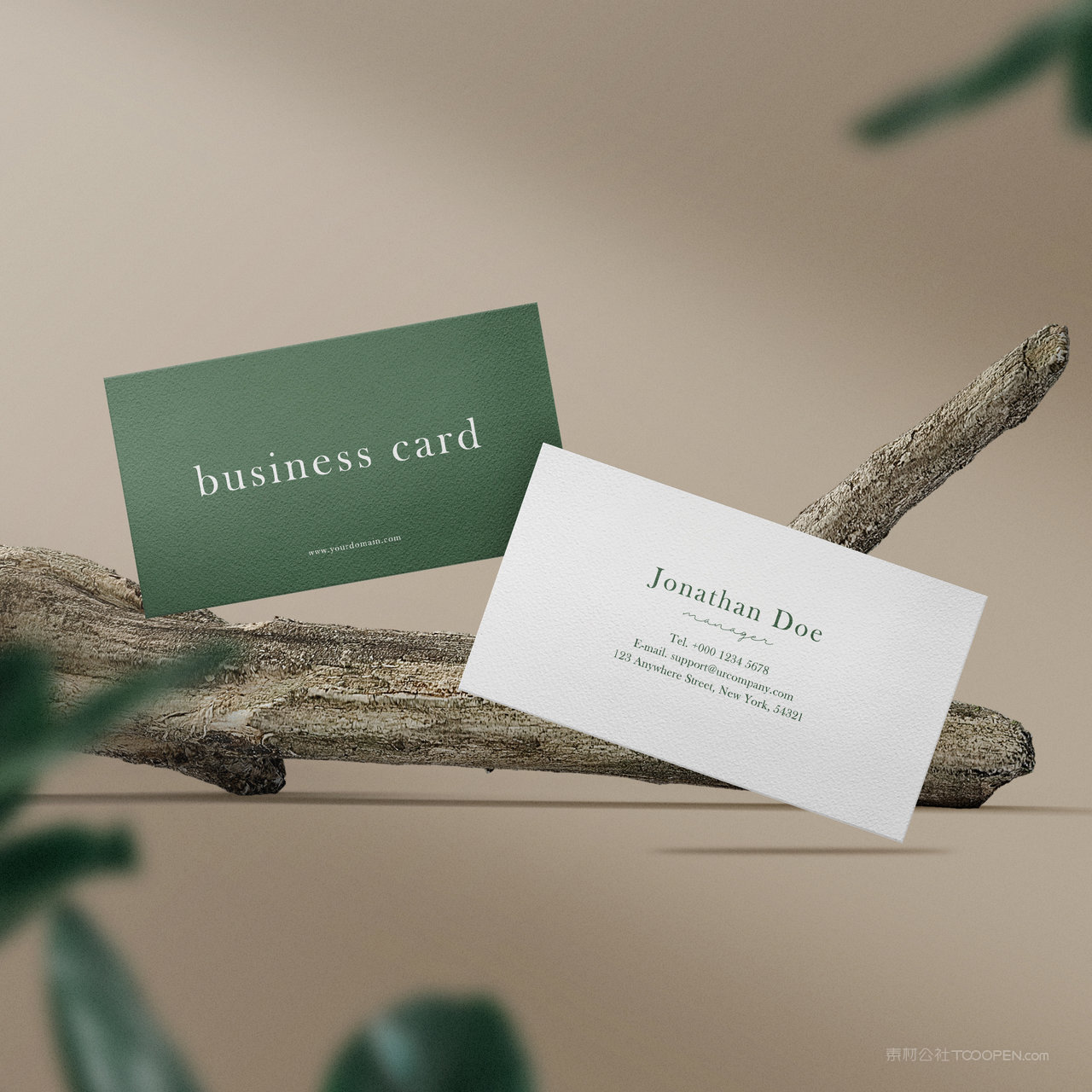 树枝名片正反面贴图样机