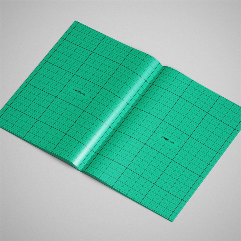 打开的画册折页样机