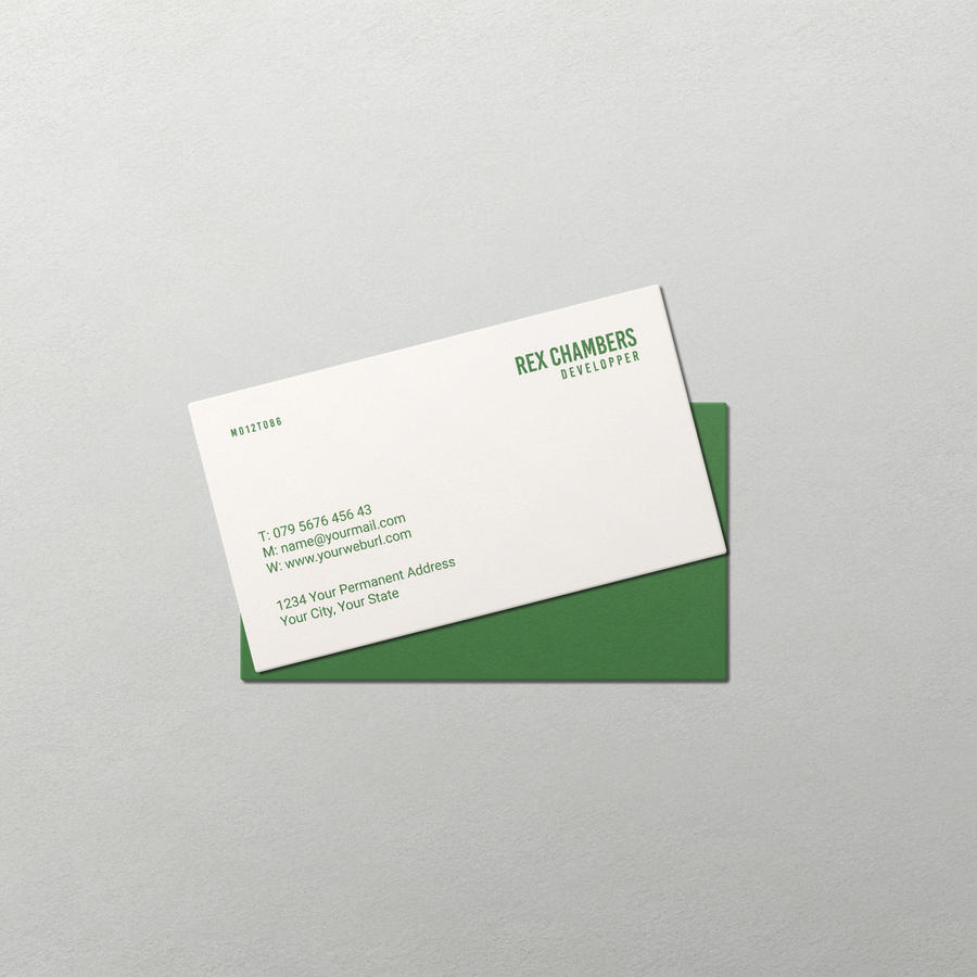 极简名片样机模板