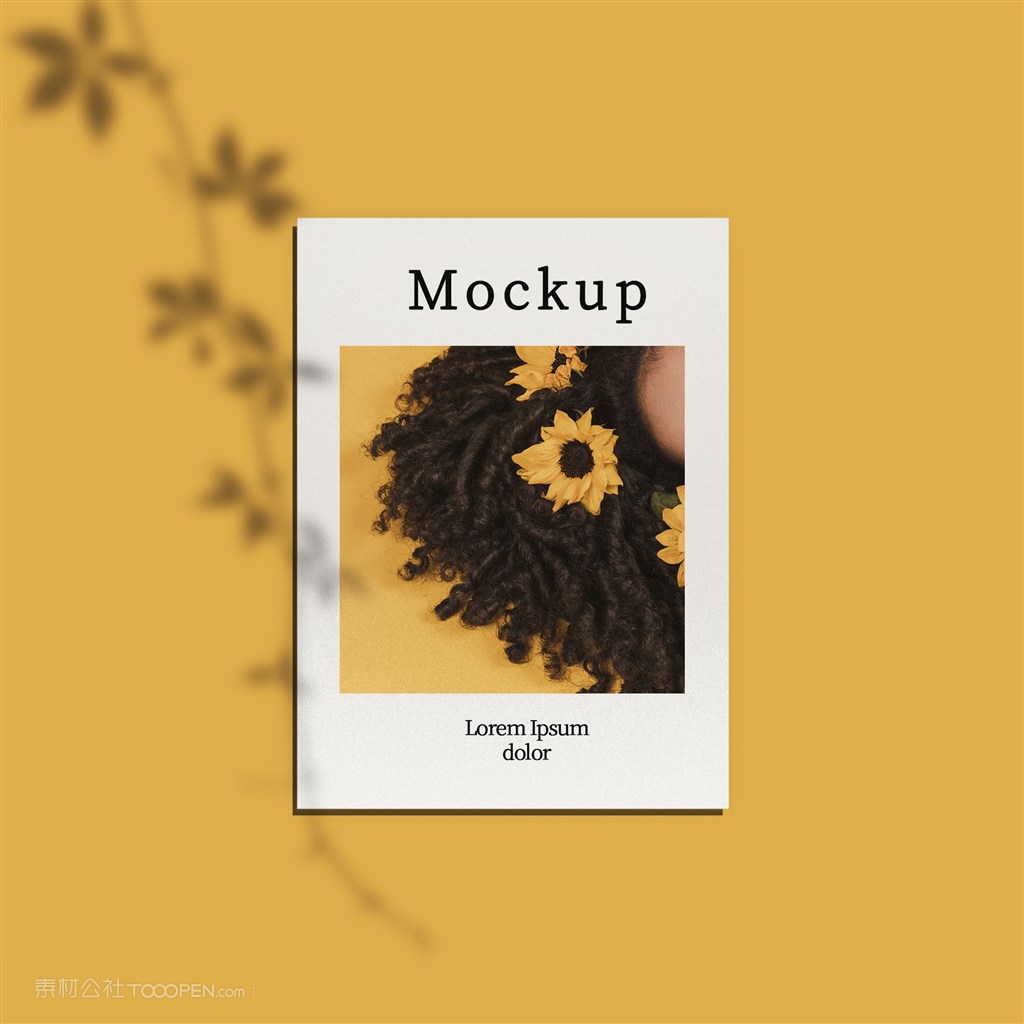 俯视图有照片和阴影的卡片贴图样机