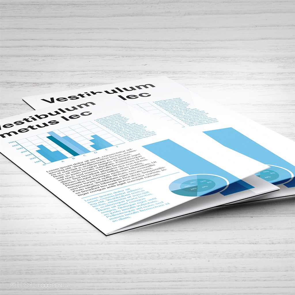 三折页样机素材