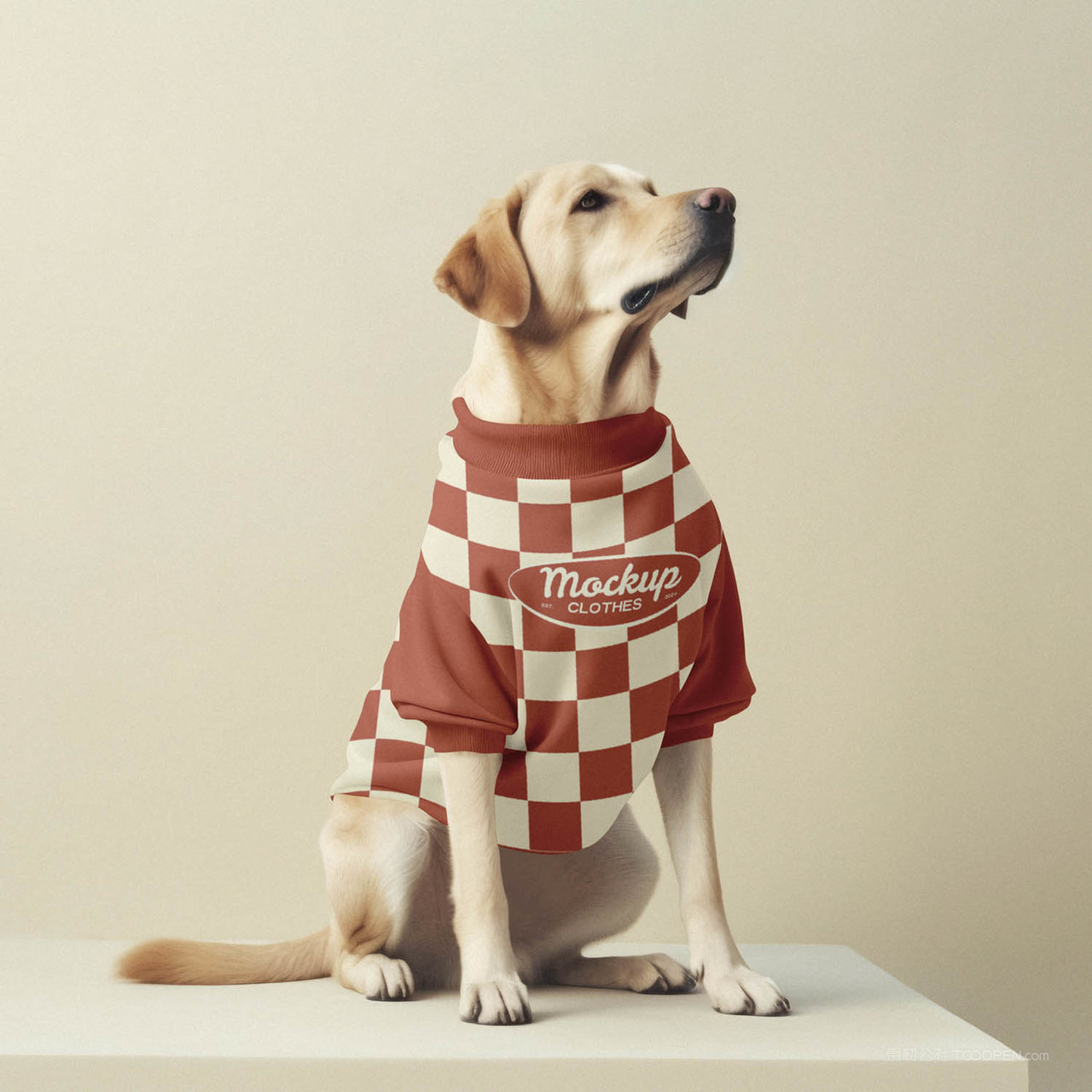 萌宠穿搭狗狗服饰贴图样机