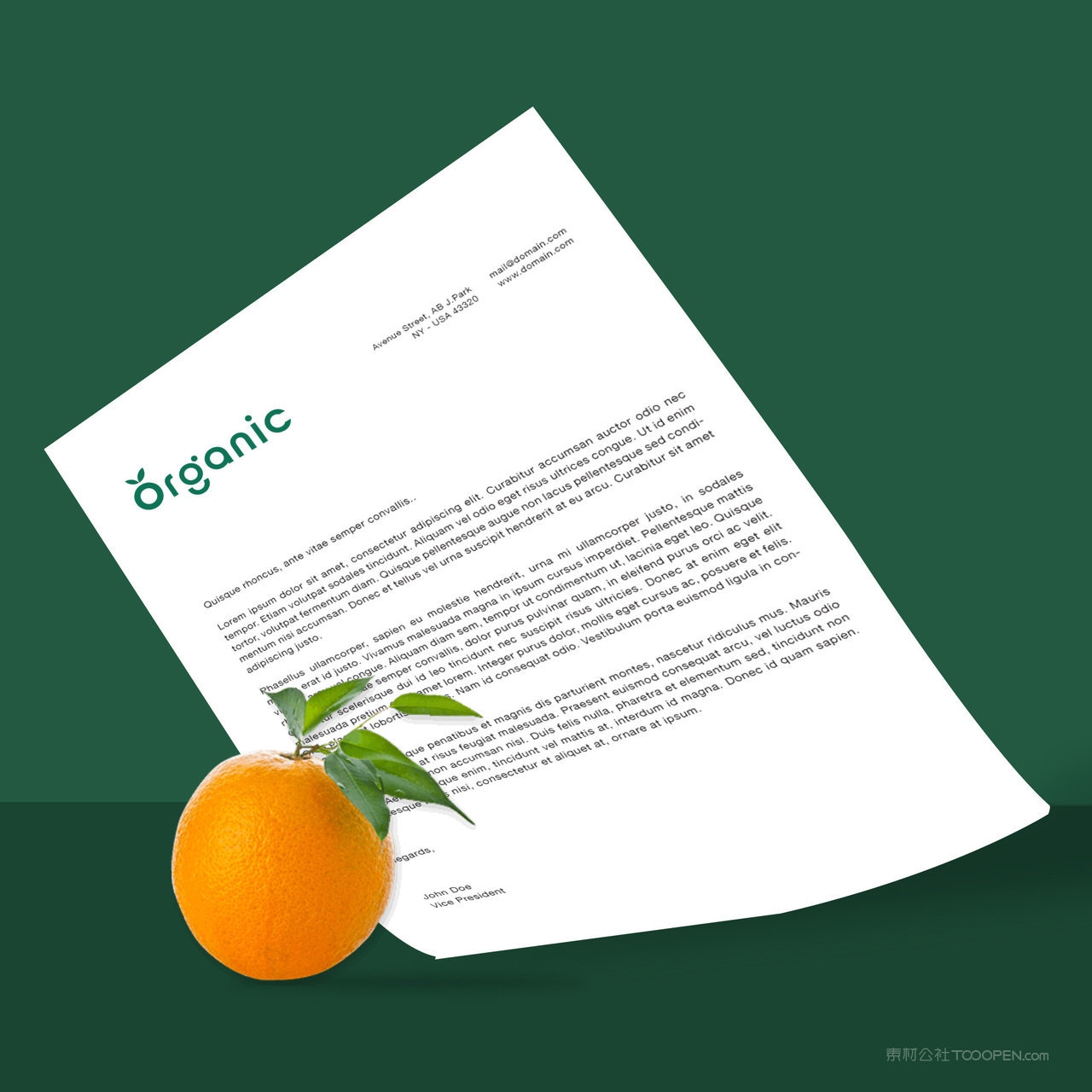 果蔬品牌vi文档贴图样机