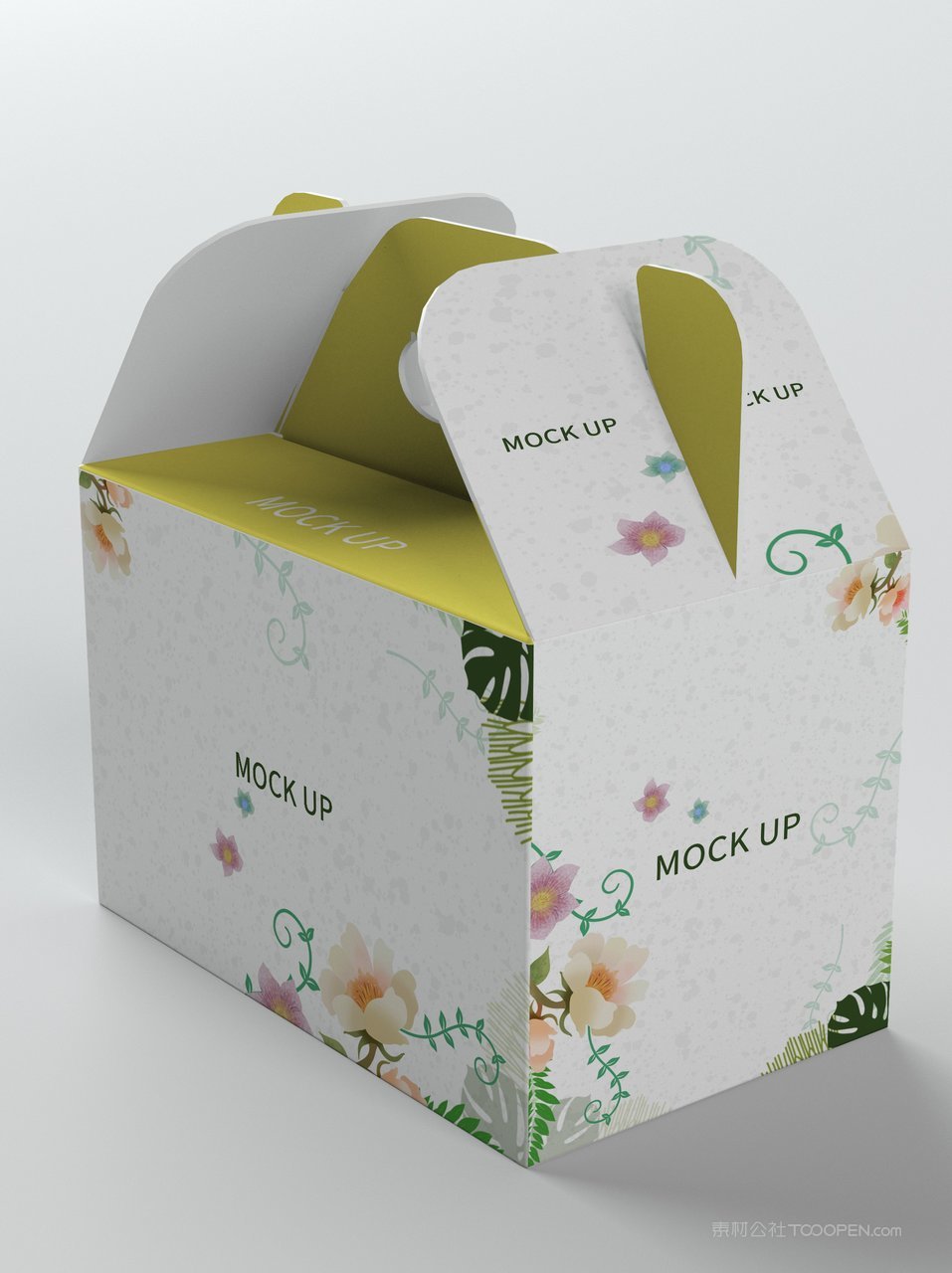 手提式纸箱包装样机