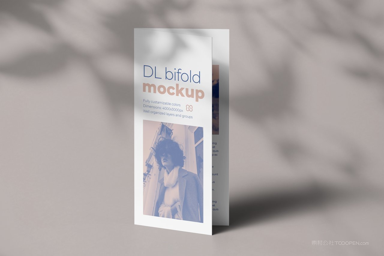 双折页设计样机psd模板