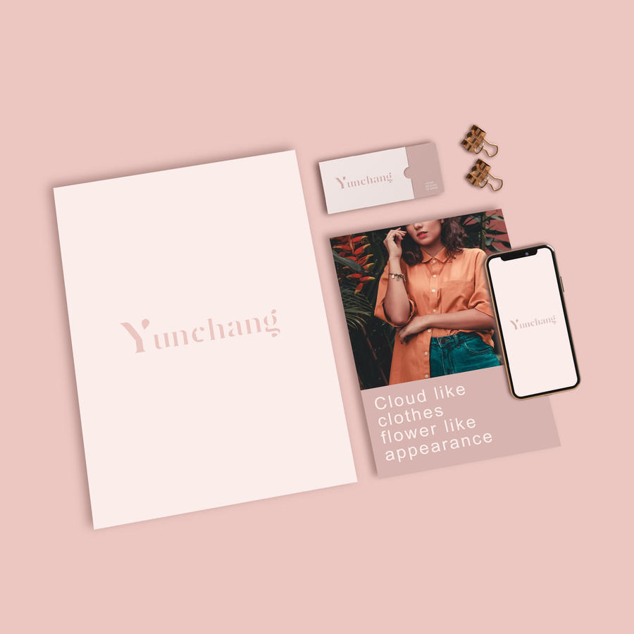 女性服装品牌VI贴图样机