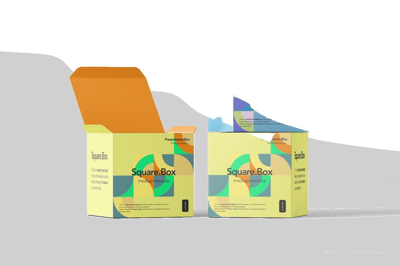 清新场景产品包装设计样机 (7)