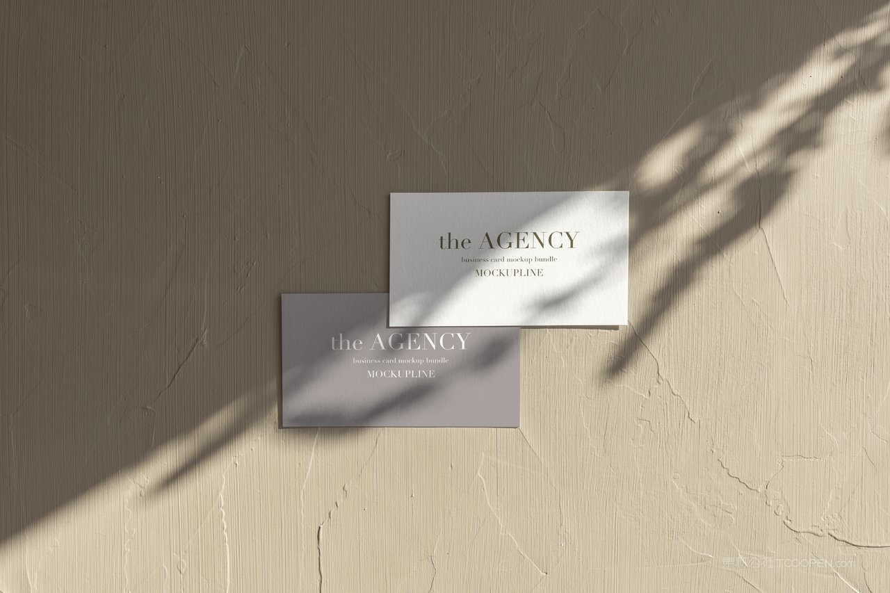 文艺白白色名片光影场景样机