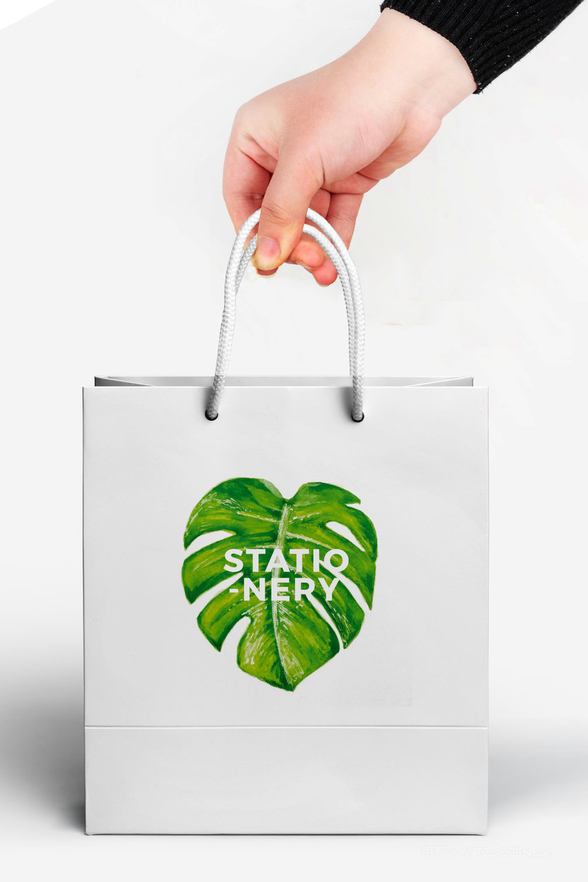 品牌设计vi手册应用手提袋样机