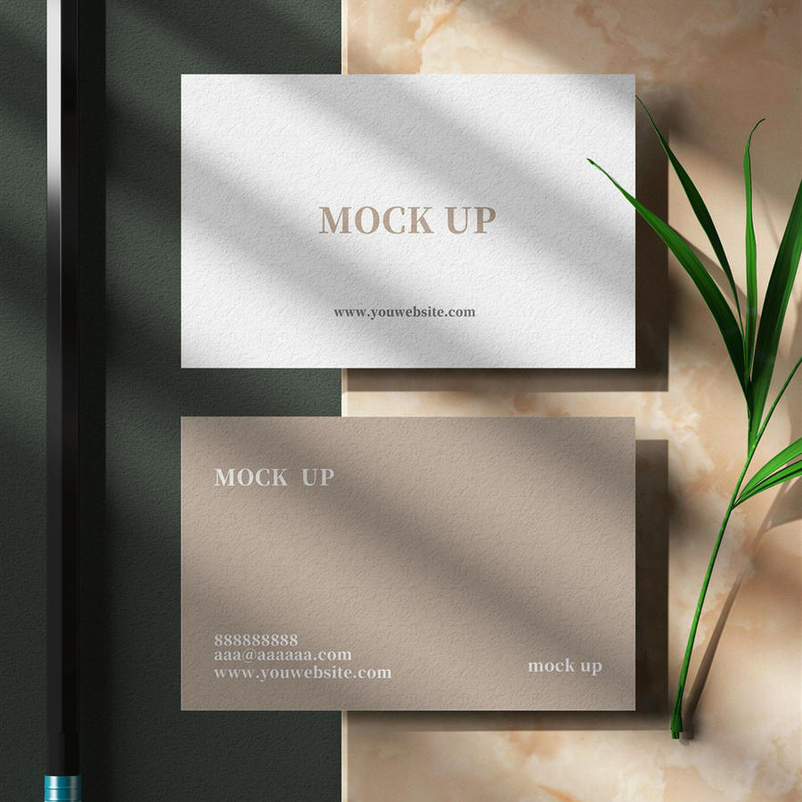 高端质感名片样机