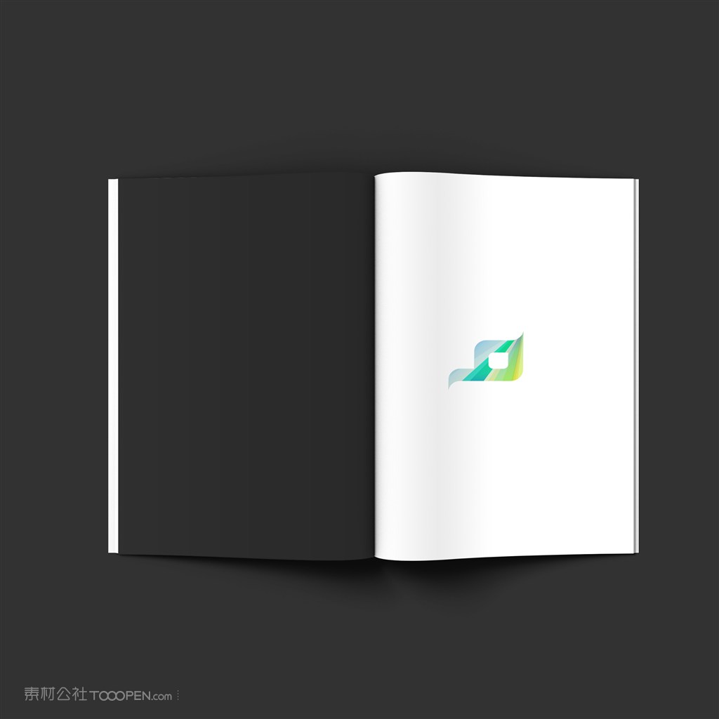 画册宣传册杂志展示样机