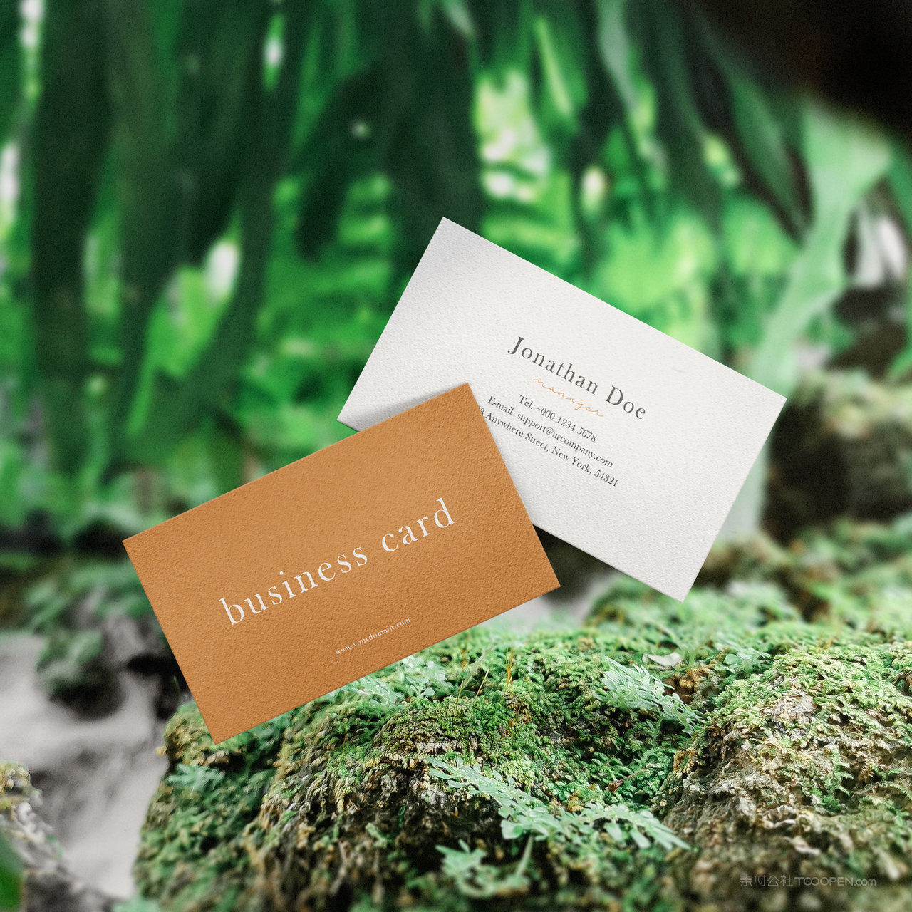 森林里的名片正反面贴图样机