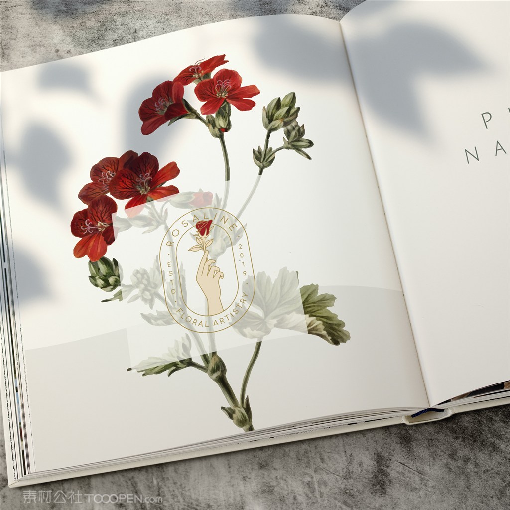 打开的花店画册杂志贴图样机