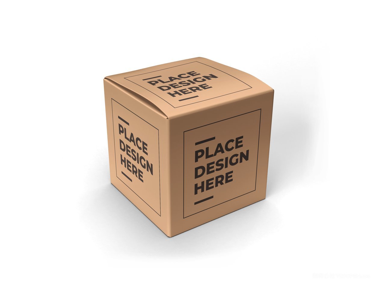 【2078期】正方形纸盒纸箱包装样机 (1)