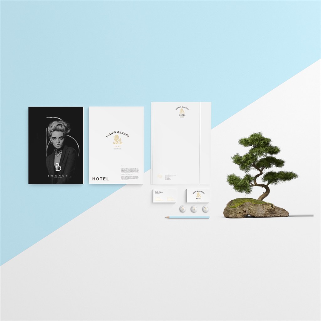 高档酒店品牌vi样机模板