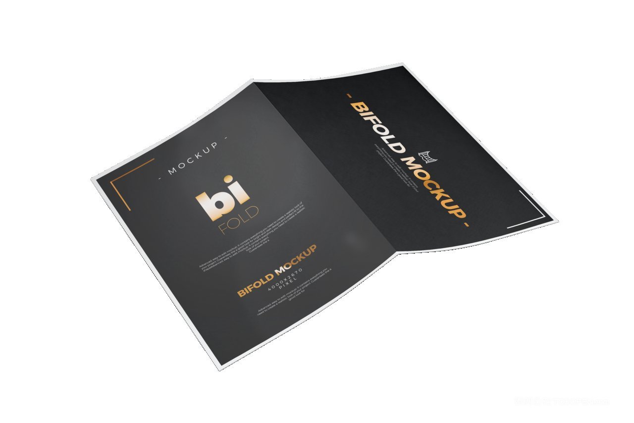 简洁商务黑企业画册封面ps样机 (6)