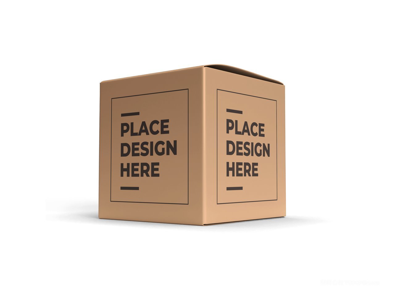 【2078期】正方形纸盒纸箱包装样机 (4)