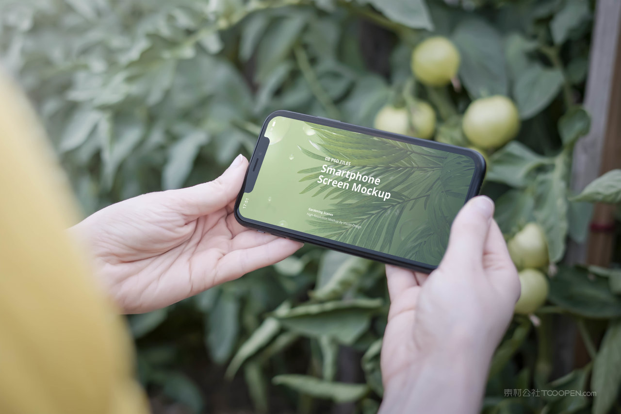 手持iphone12pro样机