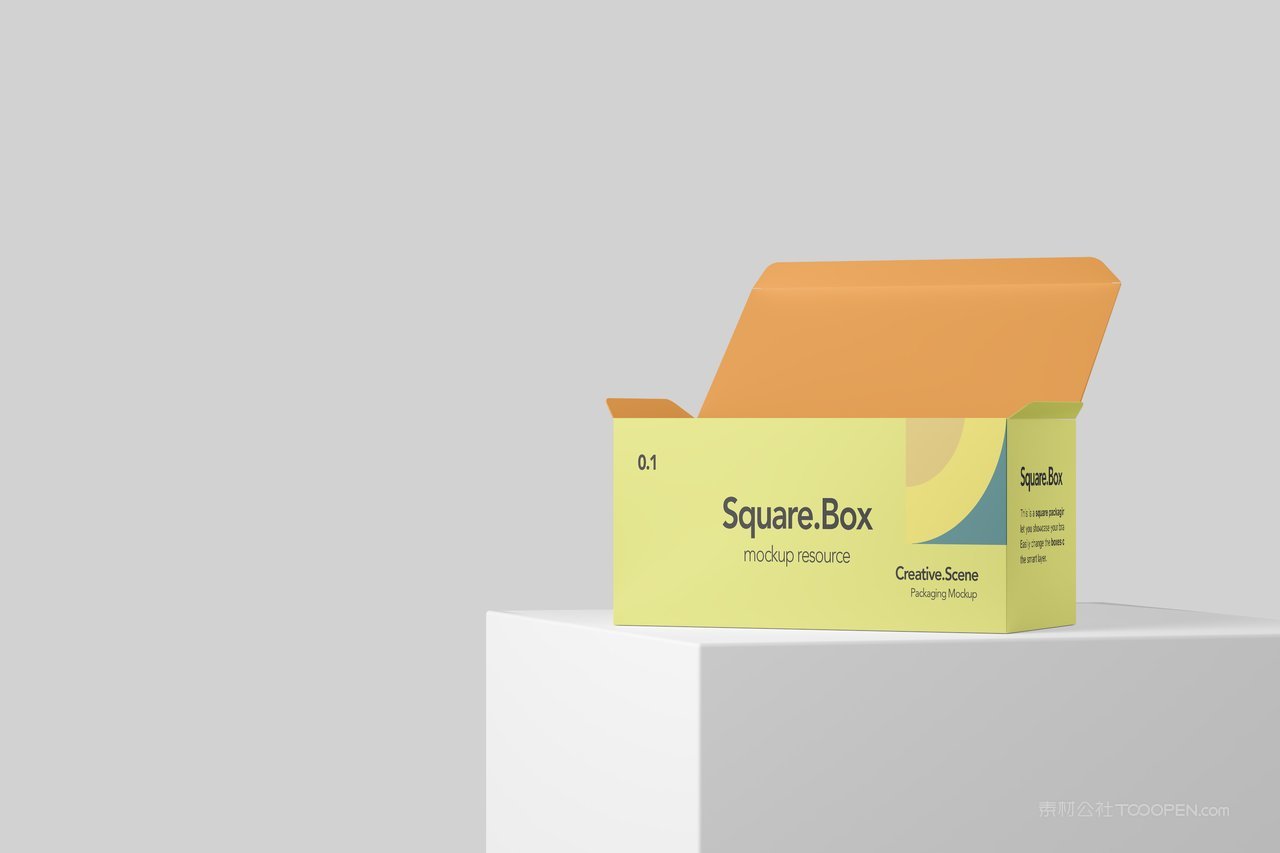 清新场景产品包装设计样机 (25)