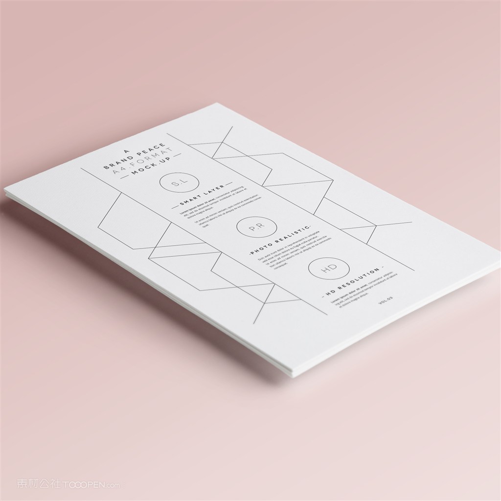 宣传单DM单单页海报样机