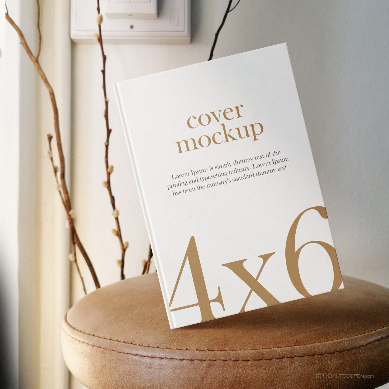 悬浮的画册书籍封面贴图样机