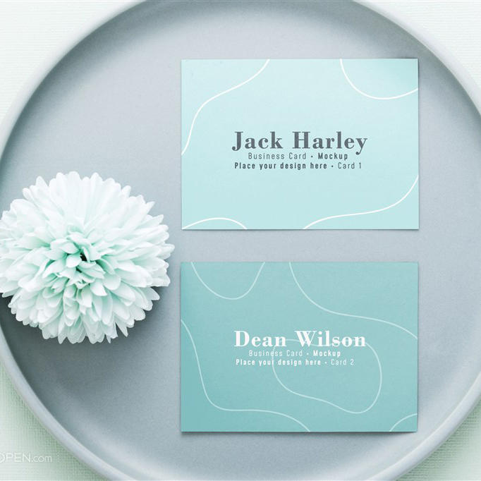 极简风名片样机