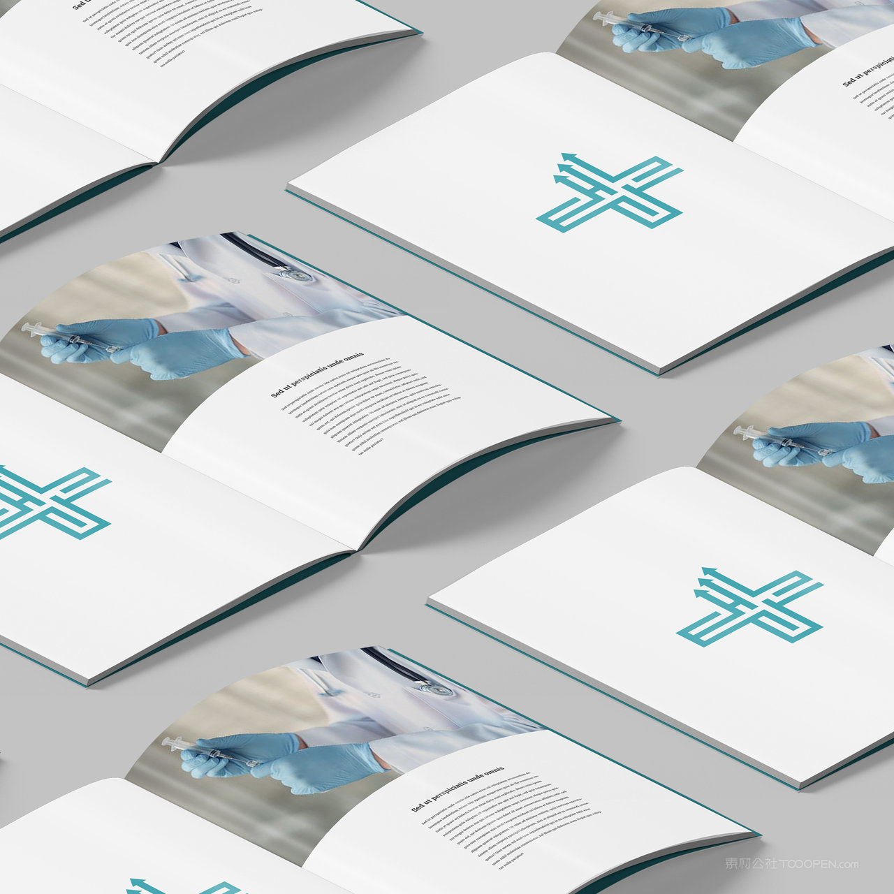 医疗品牌VI画册贴图样机