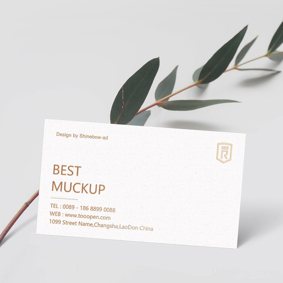 靠着树枝的名片贴图样机