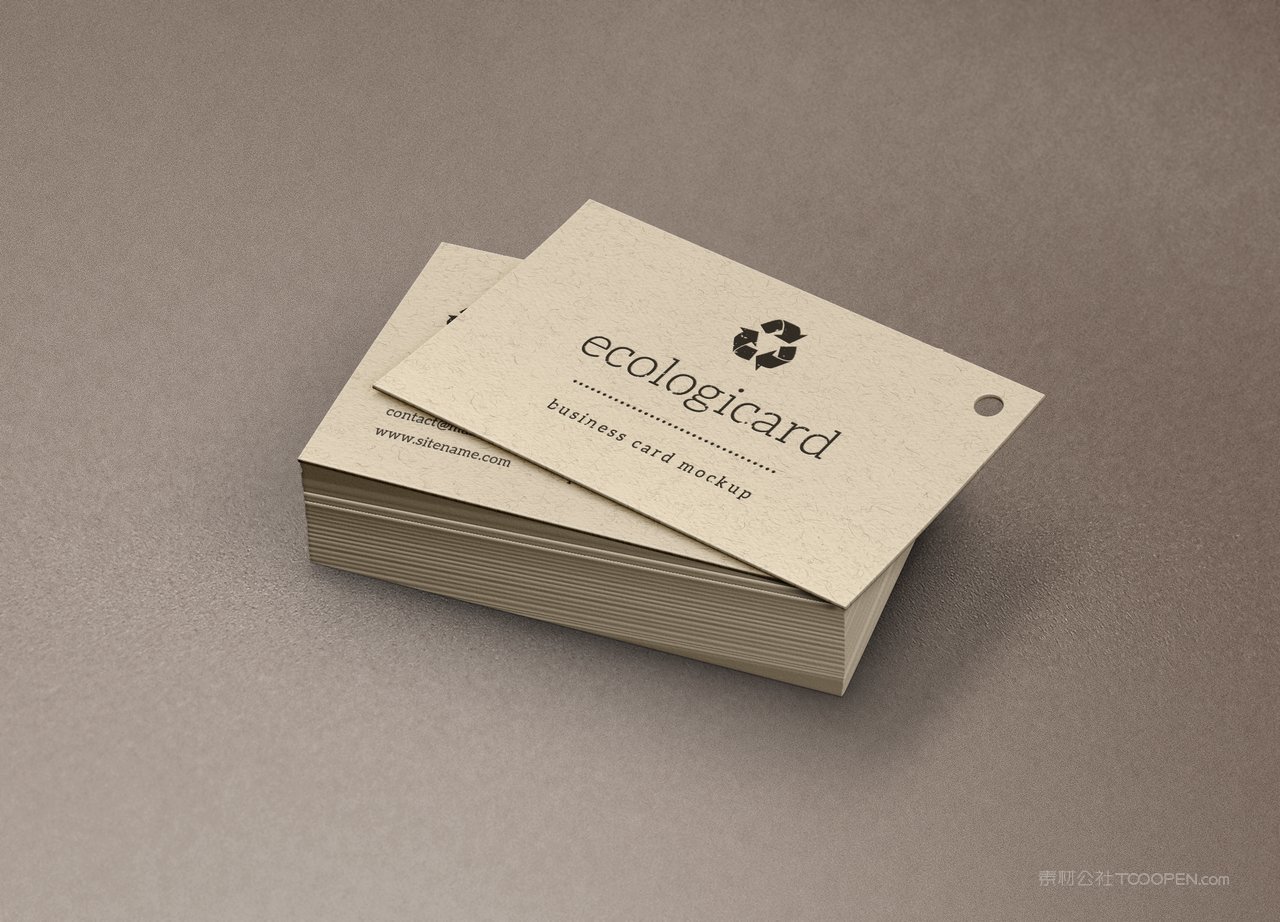 品牌企业名片通用样机 (2)